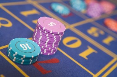 protogel com Dealer Studio