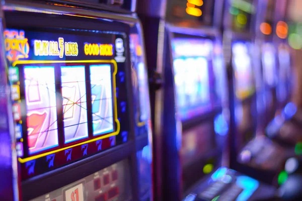 protogel com tournament system interface